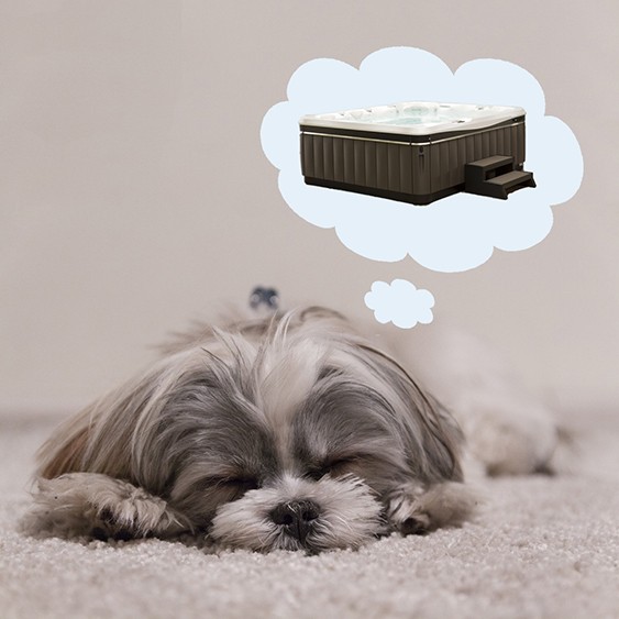 a sweet little doggy sleeps and dreams of the therapeutic and health benefits of hot tub ownership